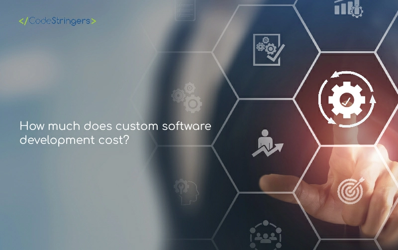How much does custom software development cost?